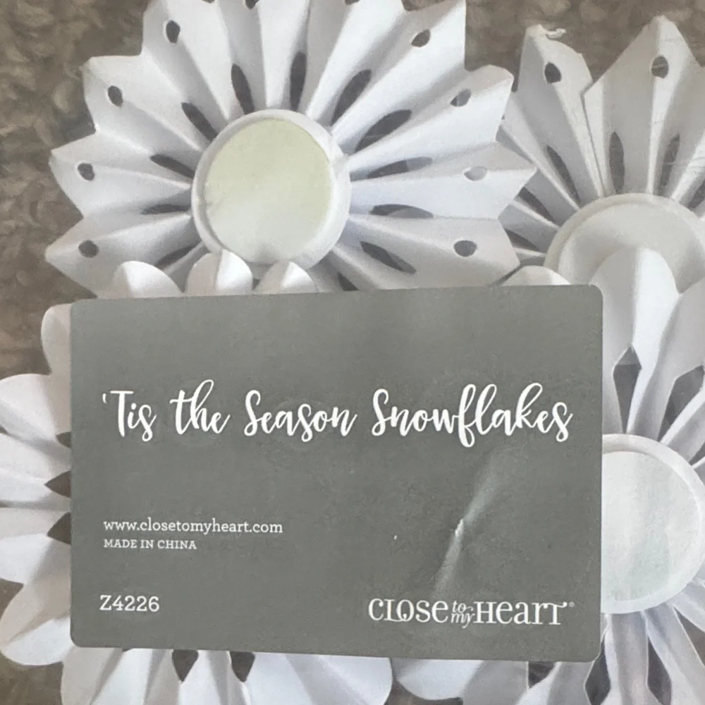 Close to My Heart White Snowflake Decorations